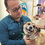 🎅LED Christmas Tree Candles🎄 - 🔥 50% OFF TODAY ONLY!