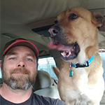 🎅LED Christmas Tree Candles🎄 - 🔥 50% OFF TODAY ONLY!